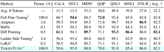 Figure 2 for Memory-Efficient Fine-Tuning of Transformers via Token Selection