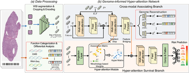 Figure 1 for Histo-Genomic Knowledge Distillation For Cancer Prognosis From Histopathology Whole Slide Images