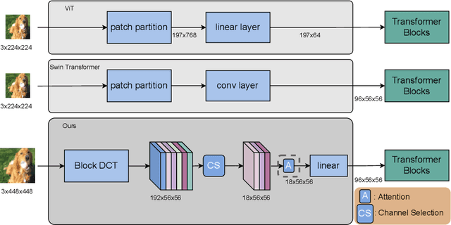 Figure 1 for Explicitly Increasing Input Information Density for Vision Transformers on Small Datasets