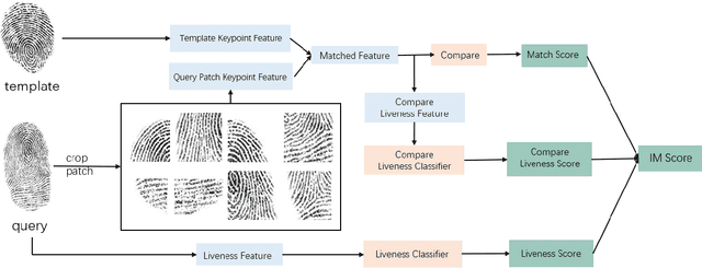 Figure 1 for Boosting Generalization with Adaptive Style Techniques for Fingerprint Liveness Detection