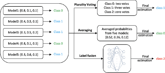 Figure 3 for An Ensemble Method to Automatically Grade Diabetic Retinopathy with Optical Coherence Tomography Angiography Images