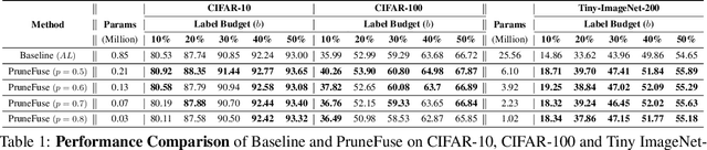 Figure 2 for Pruning-based Data Selection and Network Fusion for Efficient Deep Learning