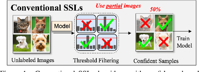 Figure 1 for MaskMatch: Boosting Semi-Supervised Learning Through Mask Autoencoder-Driven Feature Learning