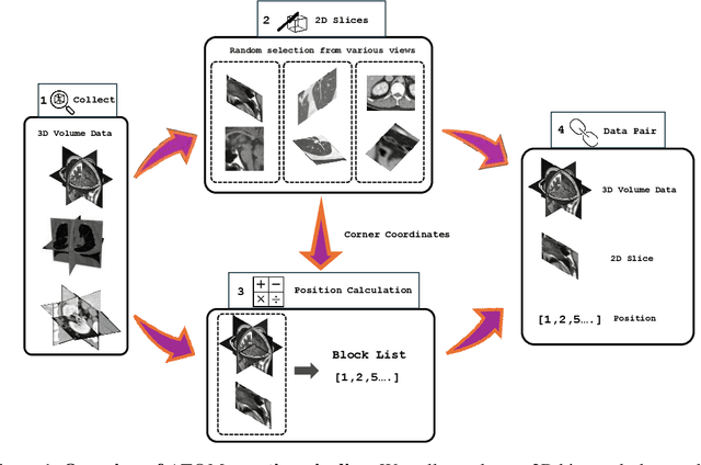 Figure 1 for From Tissue Plane to Organ World: A Benchmark Dataset for Multimodal Biomedical Image Registration using Deep Co-Attention Networks