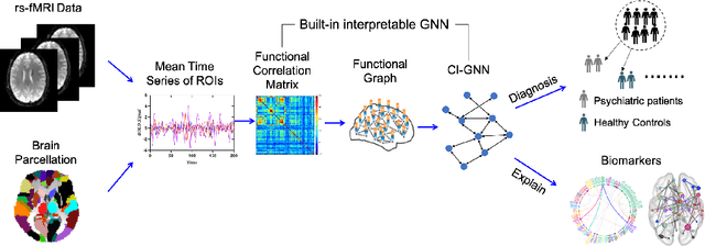 Figure 1 for CI-GNN: A Granger Causality-Inspired Graph Neural Network for Interpretable Brain Network-Based Psychiatric Diagnosis
