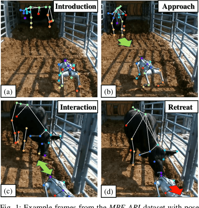 Figure 1 for MBE-ARI: A Multimodal Dataset Mapping Bi-directional Engagement in Animal-Robot Interaction