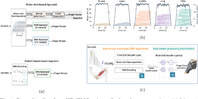 Figure 1 for Spiking Neural Network Decoders of Finger Forces from High-Density Intramuscular Microelectrode Arrays