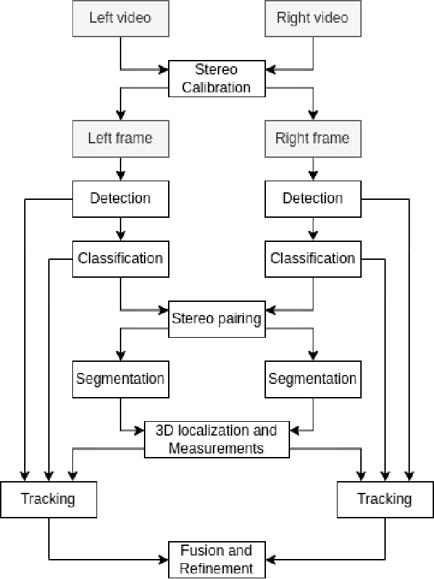 Figure 1 for Automatic coral reef fish identification and 3D measurement in the wild