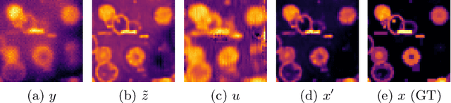 Figure 4 for LUCYD: A Feature-Driven Richardson-Lucy Deconvolution Network