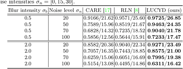 Figure 3 for LUCYD: A Feature-Driven Richardson-Lucy Deconvolution Network