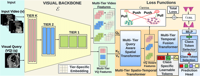 Figure 3 for MCAT: Visual Query-Based Localization of Standard Anatomical Clips in Fetal Ultrasound Videos Using Multi-Tier Class-Aware Token Transformer