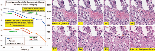 Figure 3 for F2FLDM: Latent Diffusion Models with Histopathology Pre-Trained Embeddings for Unpaired Frozen Section to FFPE Translation