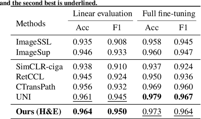 Figure 4 for PathoDuet: Foundation Models for Pathological Slide Analysis of H&E and IHC Stains