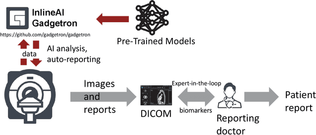 Figure 1 for Inline AI: Open-source Deep Learning Inference for Cardiac MR