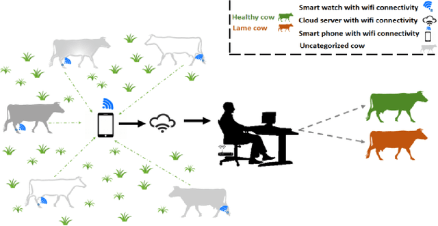 Figure 1 for CowScreeningDB: A public benchmark dataset for lameness detection in dairy cows