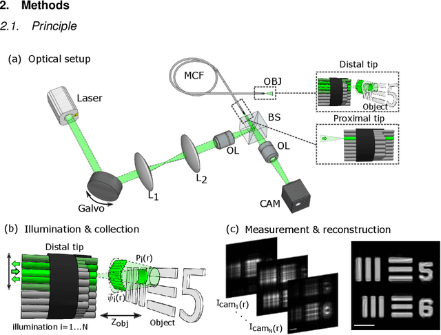 Figure 1 for Ptychographic lensless coherent endomicroscopy through a flexible fiber bundle