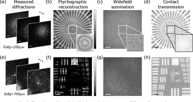 Figure 2 for Ptychographic lensless coherent endomicroscopy through a flexible fiber bundle