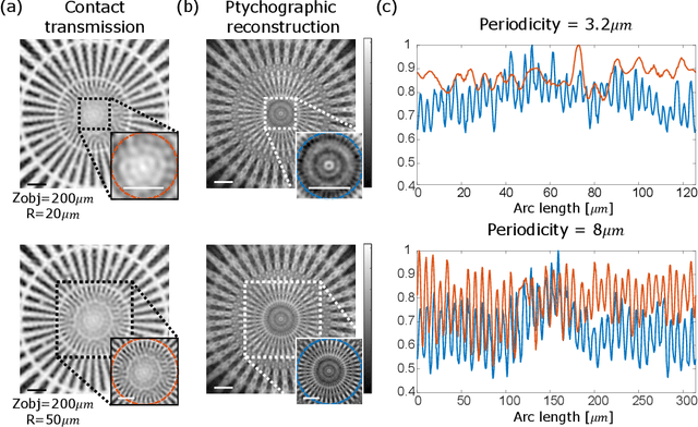 Figure 3 for Ptychographic lensless coherent endomicroscopy through a flexible fiber bundle