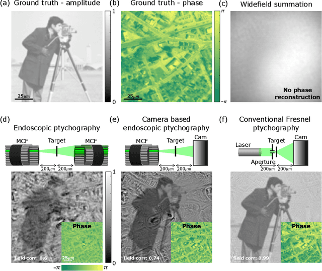 Figure 4 for Ptychographic lensless coherent endomicroscopy through a flexible fiber bundle