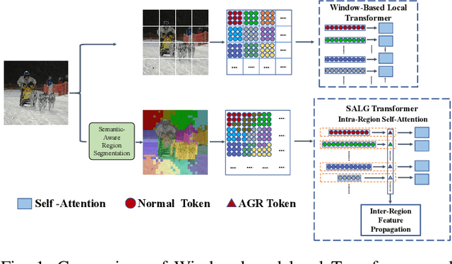 Figure 1 for Semantic-Aware Local-Global Vision Transformer