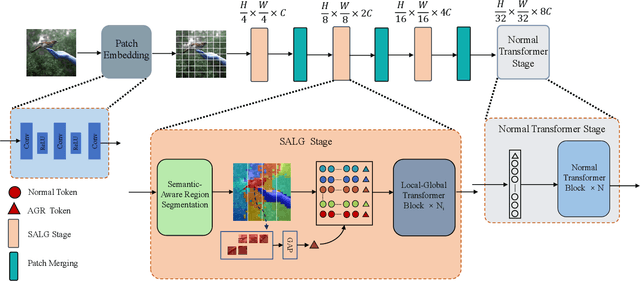 Figure 2 for Semantic-Aware Local-Global Vision Transformer