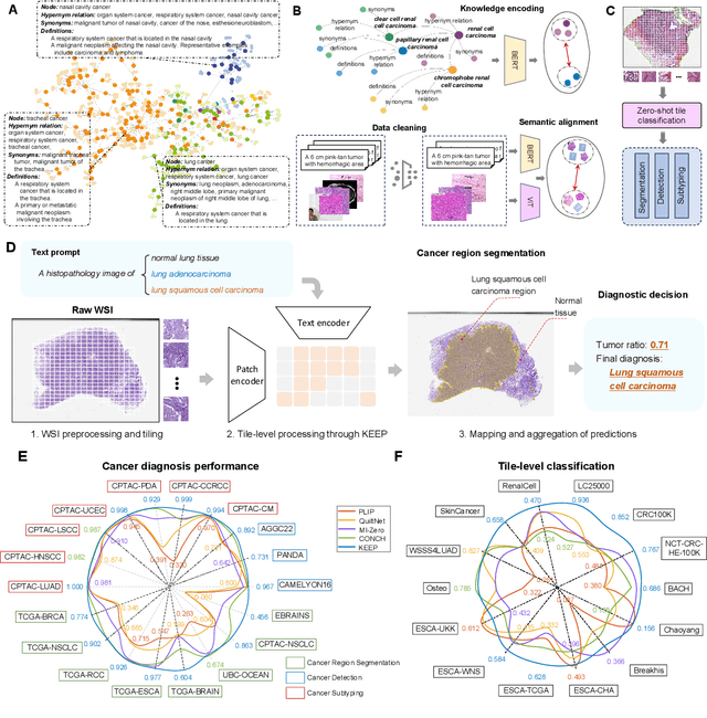 Figure 1 for A Knowledge-enhanced Pathology Vision-language Foundation Model for Cancer Diagnosis