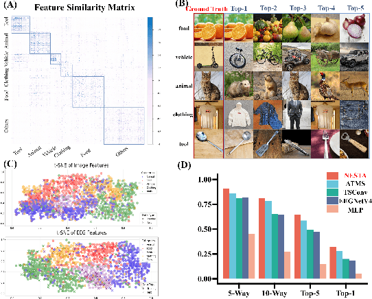 Figure 3 for Neural-MCRL: Neural Multimodal Contrastive Representation Learning for EEG-based Visual Decoding