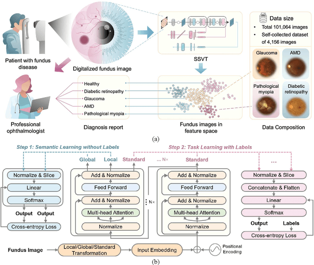 Figure 1 for SSVT: Self-Supervised Vision Transformer For Eye Disease Diagnosis Based On Fundus Images