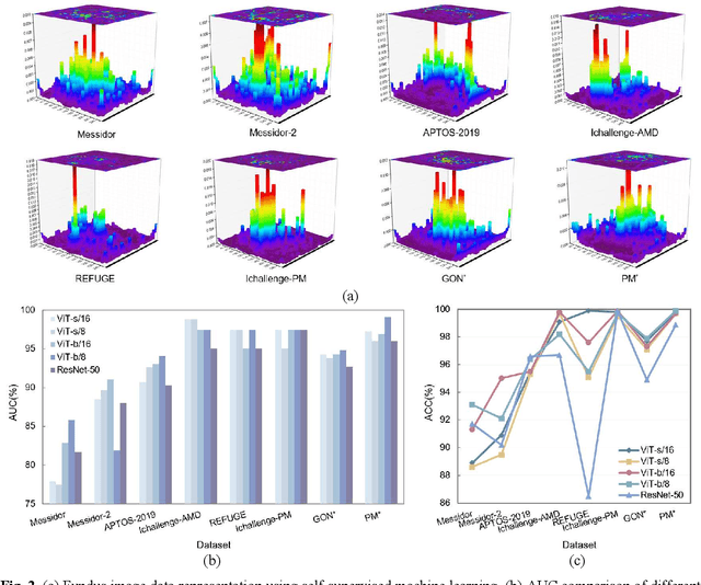 Figure 2 for SSVT: Self-Supervised Vision Transformer For Eye Disease Diagnosis Based On Fundus Images