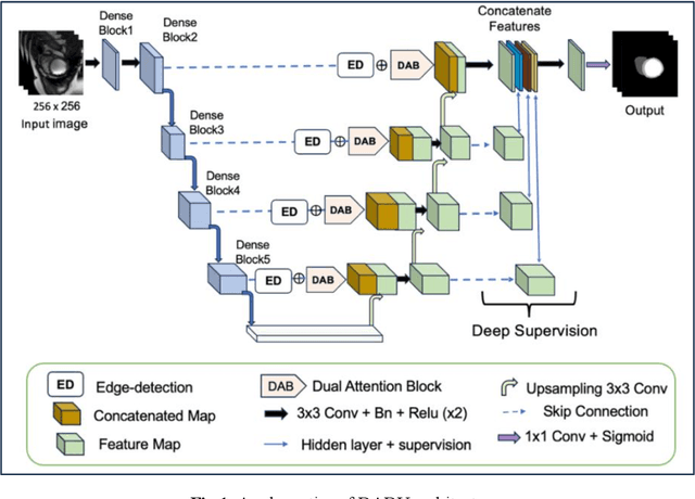 Figure 1 for DADU: Dual Attention-based Deep Supervised UNet for Automated Semantic Segmentation of Cardiac Images