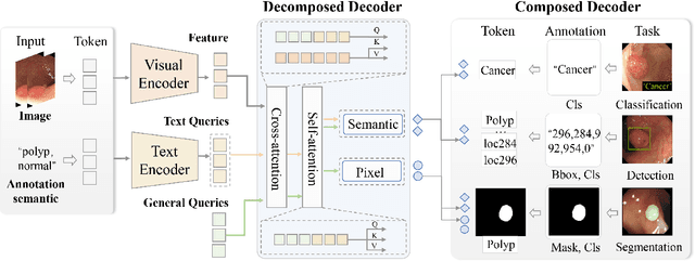 Figure 2 for Universal Medical Image Representation Learning with Compositional Decoders