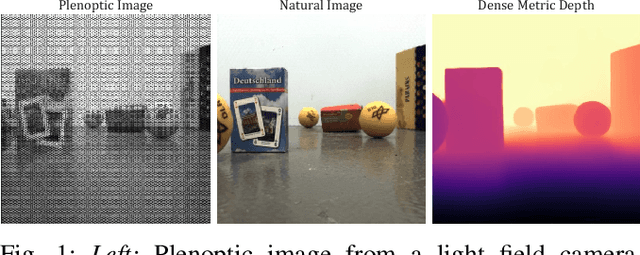 Figure 1 for Single-Shot Metric Depth from Focused Plenoptic Cameras