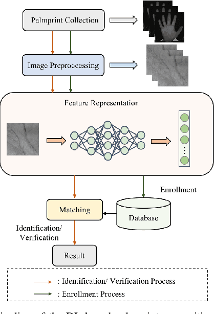 Figure 1 for Deep Learning in Palmprint Recognition-A Comprehensive Survey