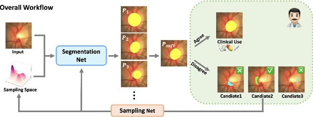 Figure 3 for MedUHIP: Towards Human-In-the-Loop Medical Segmentation