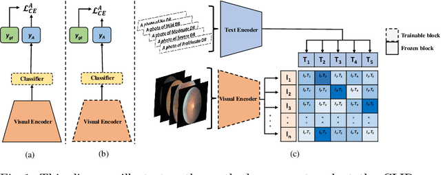 Figure 3 for Exploring the Transfer Learning Capabilities of CLIP in Domain Generalization for Diabetic Retinopathy