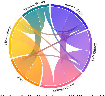 Figure 1 for CLIP-Driven Universal Model for Organ Segmentation and Tumor Detection