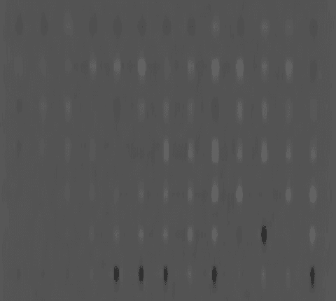 Figure 1 for CAPRI-CT: Causal Analysis and Predictive Reasoning for Image Quality Optimization in Computed Tomography