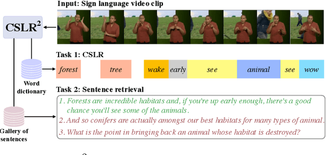 Figure 1 for A Tale of Two Languages: Large-Vocabulary Continuous Sign Language Recognition from Spoken Language Supervision