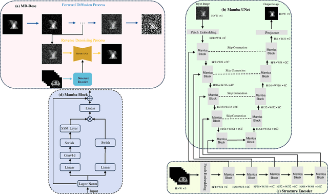 Figure 1 for MD-Dose: A Diffusion Model based on the Mamba for Radiotherapy Dose Prediction