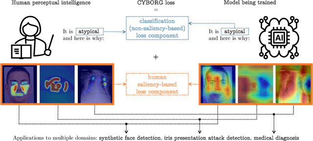 Figure 1 for Training Better Deep Learning Models Using Human Saliency