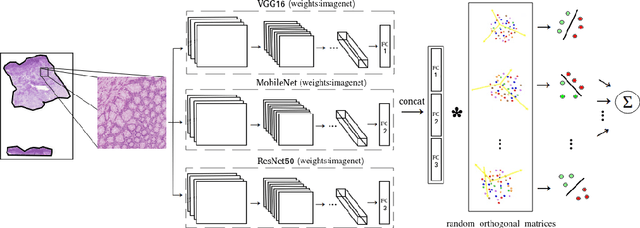 Figure 1 for DeepFEL: Deep Fastfood Ensemble Learning for Histopathology Image Analysis