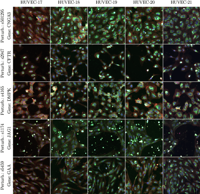 Figure 2 for RxRx1: A Dataset for Evaluating Experimental Batch Correction Methods