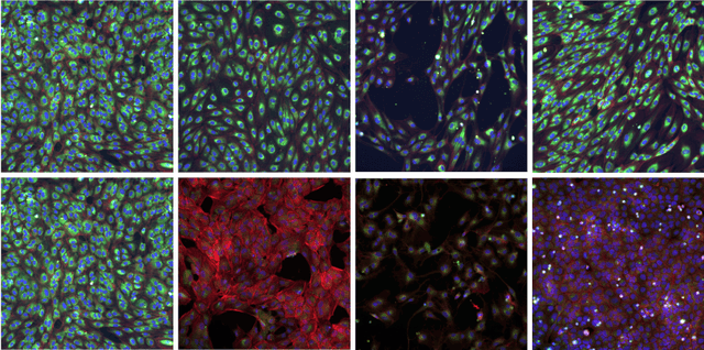 Figure 3 for RxRx1: A Dataset for Evaluating Experimental Batch Correction Methods