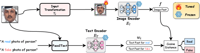 Figure 3 for Standing on the Shoulders of Giants: Reprogramming Visual-Language Model for General Deepfake Detection