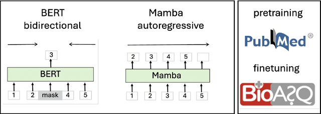 Figure 3 for BioMamba: A Pre-trained Biomedical Language Representation Model Leveraging Mamba