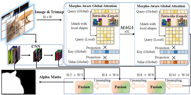 Figure 2 for Morpho-Aware Global Attention for Image Matting