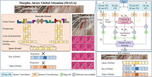 Figure 4 for Morpho-Aware Global Attention for Image Matting