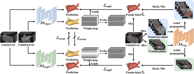 Figure 3 for Orthogonal Annotation Benefits Barely-supervised Medical Image Segmentation