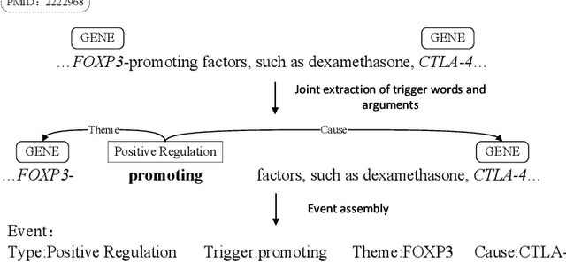 Figure 1 for Multi-layer Sequence Labeling-based Joint Biomedical Event Extraction