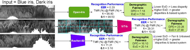 Figure 3 for Impact of Iris Pigmentation on Performance Bias in Visible Iris Verification Systems: A Comparative Study